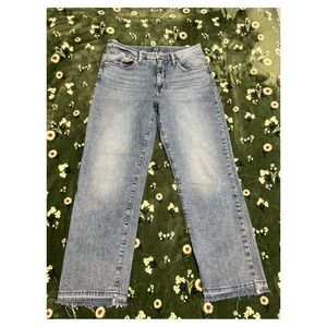 Women’s Jag Jeans Vintage Blue size 6